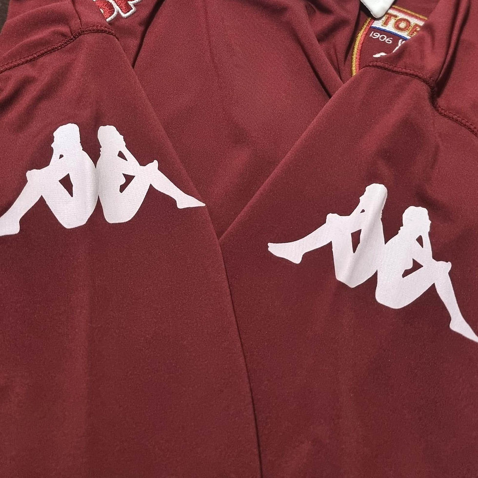 Miniatura: Torino 2013 Home