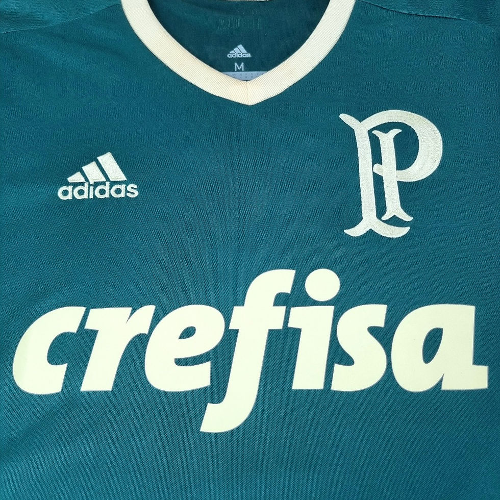 Miniatura: Palmeiras 2017 Third #7