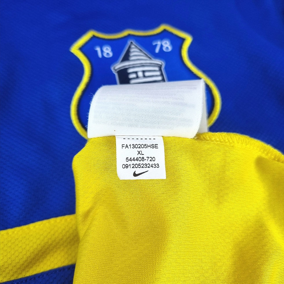 Miniatura: Everton 2013 Away