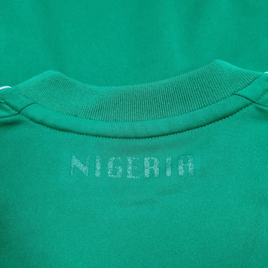 Miniatura: Nigeria 2010 Home