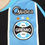 Miniatura: Gremio 2010 Home #9