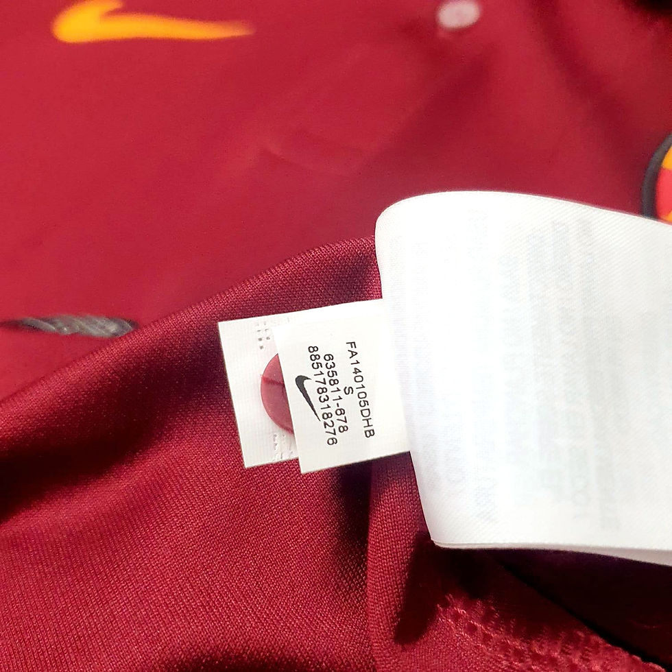 Miniatura: Roma 2014 Home