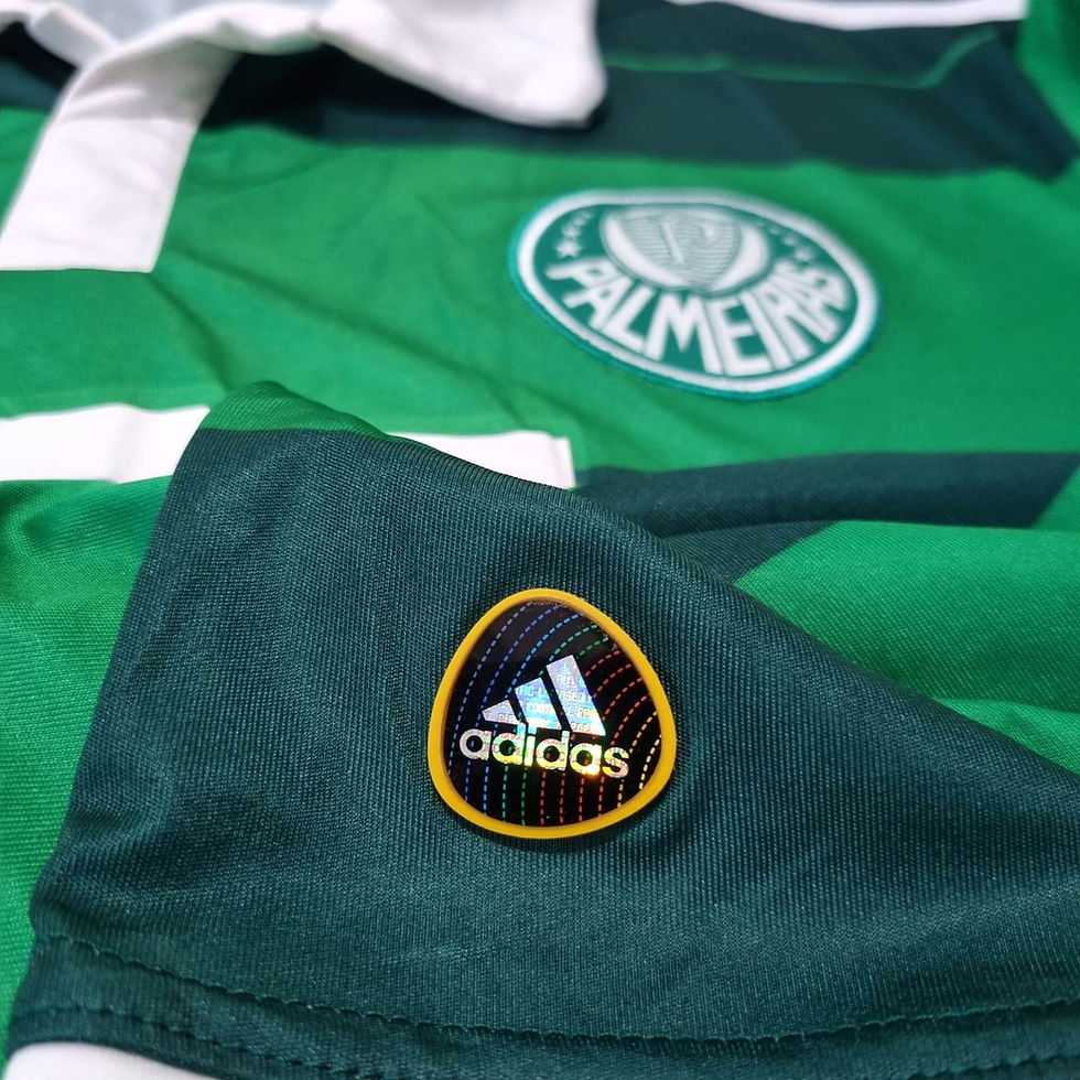 Miniatura: Palmeiras 2010 Third P