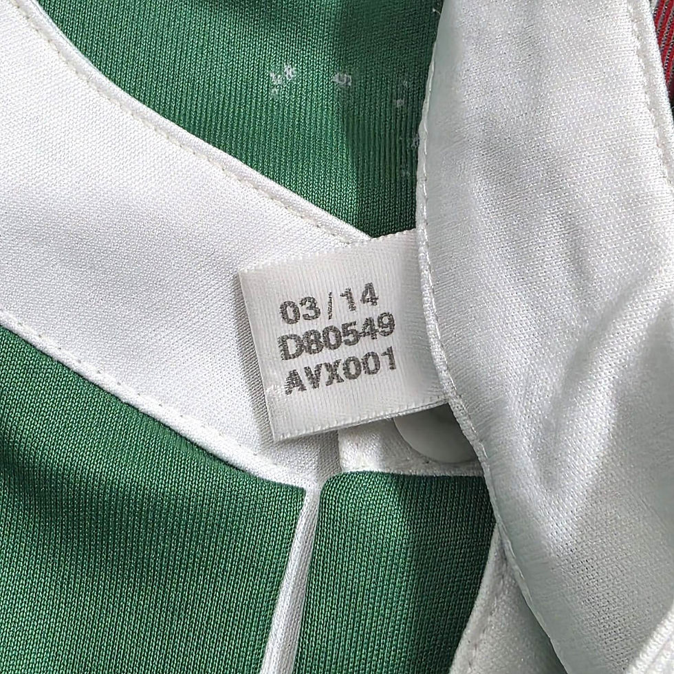 Miniatura: Palmeiras 2014 Third Centenário GG