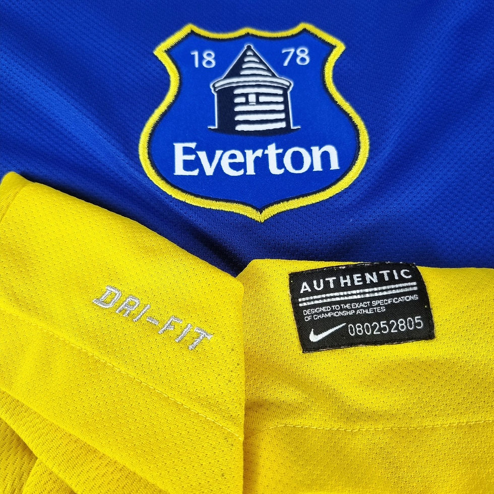 Miniatura: Everton 2013 Away