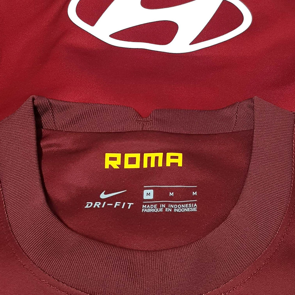 Miniatura: Roma 2020 Home