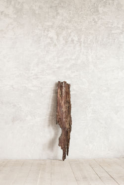 Roped Landscape_5