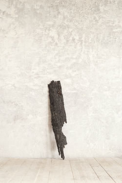 Roped Landscape_6