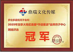 鼎盛文化传媒颁奖冠军.jpg
