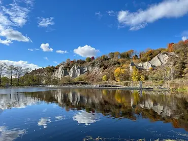 bluffer's park.webp