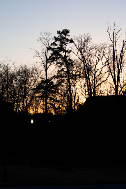 IMG_0316