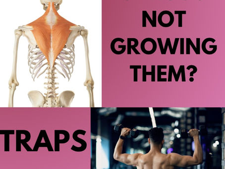 Traps: Shrugs not growing them?