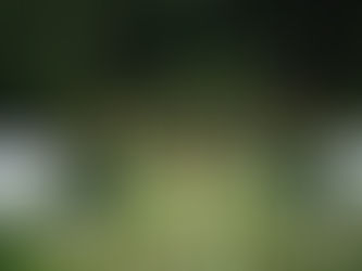 Intimate Wedding Venue