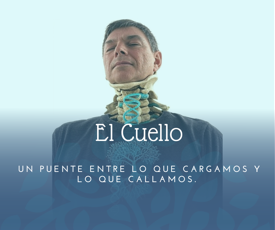 El cuello: el puente entre lo que cargamos y lo que callamos