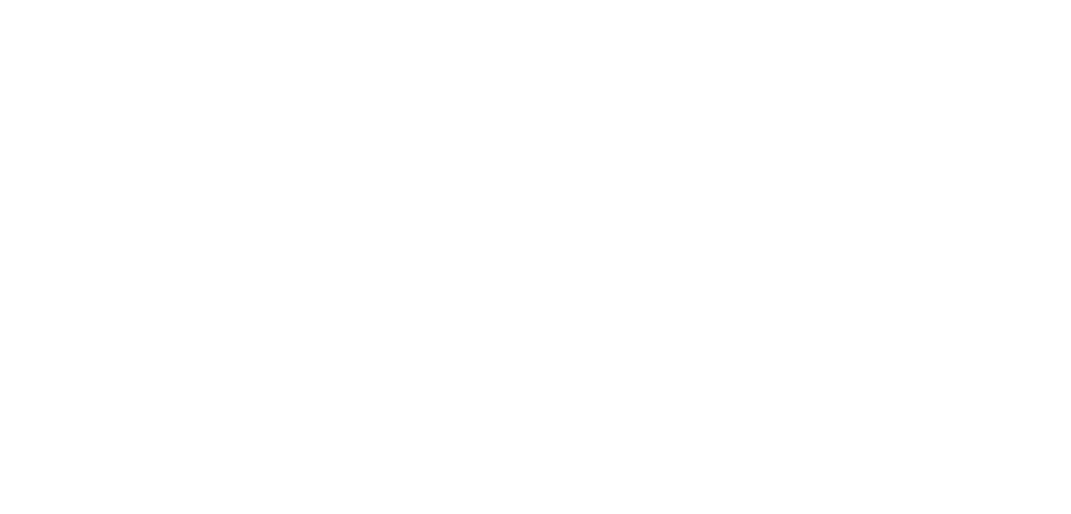 ECHO Logo - White - High Res.png