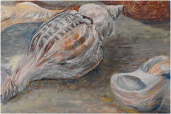 Seashells on the Seashore