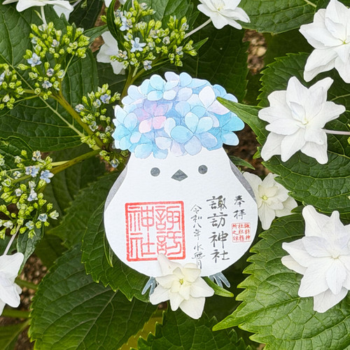 紫陽花シマエナガ | Kashiwajinja