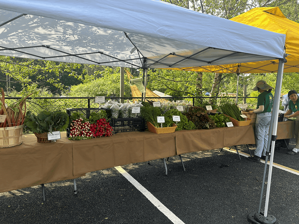 City Green Farm Stand, Clifton, NJ