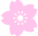 サクラ