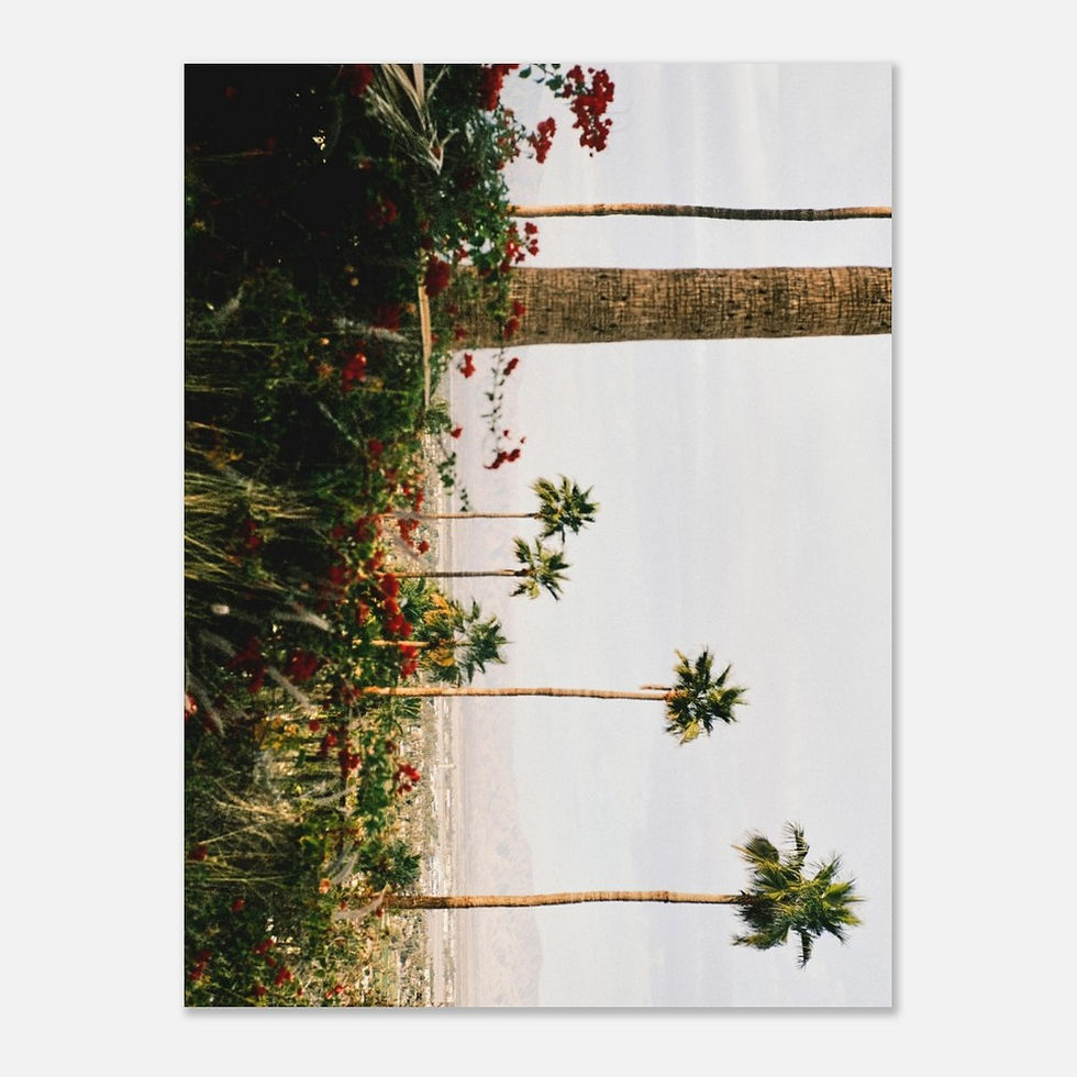 Thumbnail: Paradise on the side