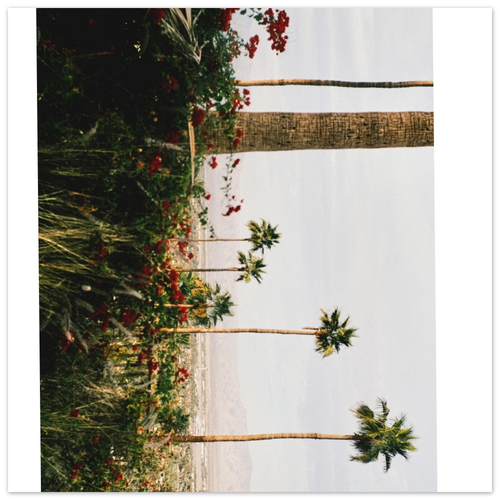 Paradise on the side | Drunksundays