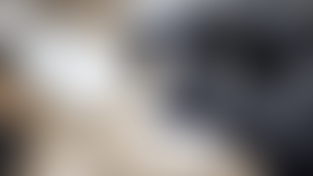 Maximize Your Amazon Influencer Shoppable Video Earnings with Everyday Items