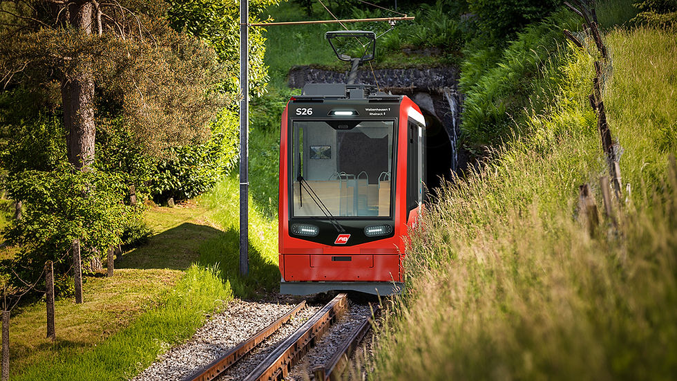 Stadler Bergbahn RUMBA Rheineck Walzenhausen Innova Design Team Innova.jpg