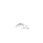 White logo final- transparent background.png