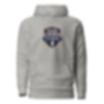 Thumbnail: Silva Linings Playbook - Unisex Hoodie