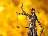 Is SA a free and open democracy for those excluded from Constitutional protection?