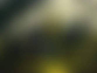 Dit is tyd vir 'n gesprek oor die werklikheid (nie die droom nie)