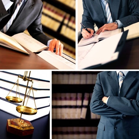 The Trias Politica and the Phala-Phala Judgement