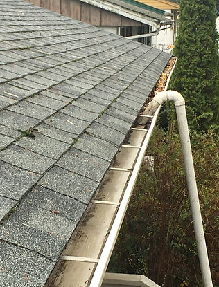 Gutter Cleaning