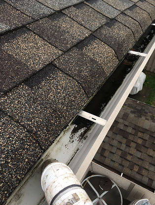 gutter cleaning