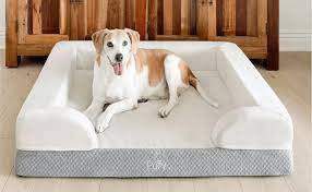 dog bed.jpeg