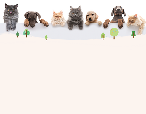 白いボードの上から顔を覗かせる複数の犬と猫