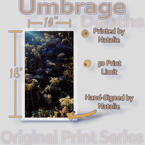 Umbrage, Depths, fine art prints