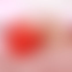 Ordem cronológica em fila de adoção não tem caráter absoluto