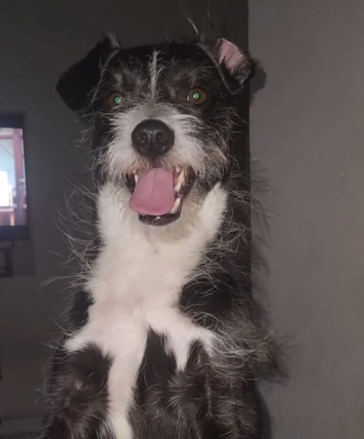 Bruce