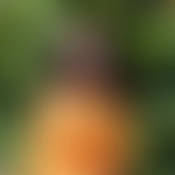 Aline's Tale (Rwanda)