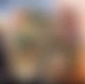 Fenouil et compagnie