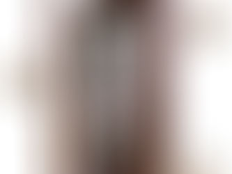 Learn What Makes an Allied Iron Entry Door the Best Choice