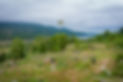 HBOnline_SCOTLAND_2021-5.JPG