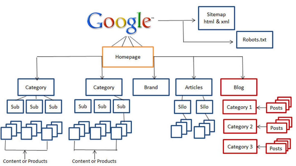 Content hierarchy for a website