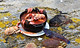 Stangholmens fiskesuppe