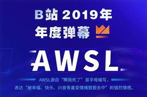 Top 10 most popular bullet screen on Bilibili in 2019👇