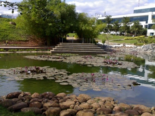 RAIN WATER RECHARGE POOL