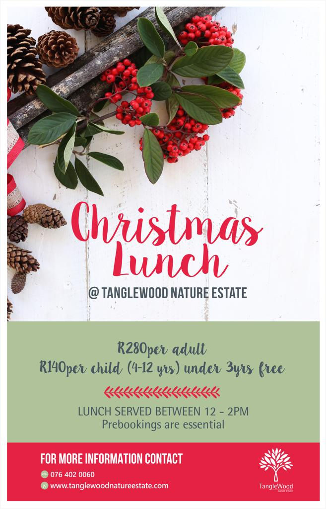 Christmas Lunch (1)