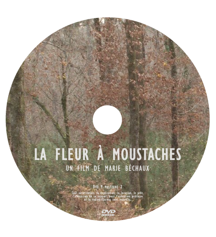 Miniature : DVD