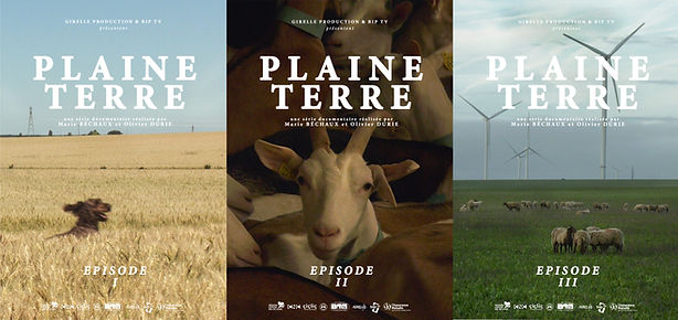 Plaine terre tryptique.jpg